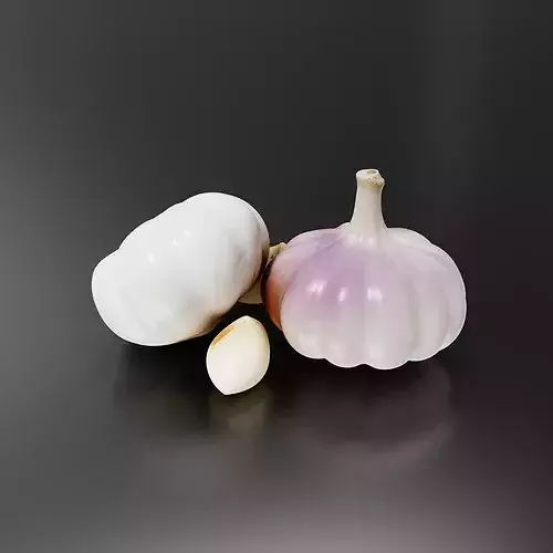 Garlic-01 3D print model 4