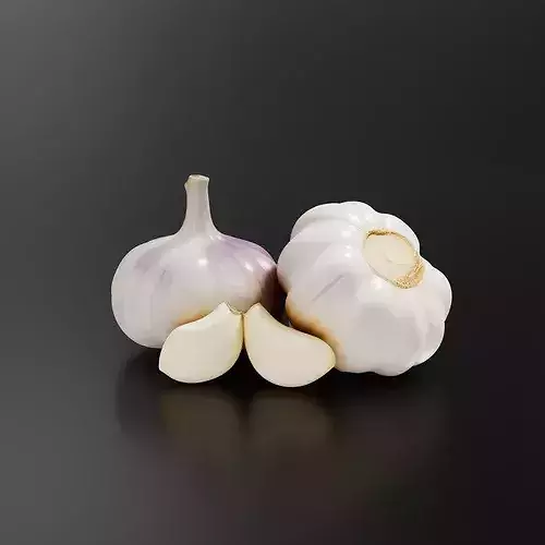 Garlic-01 3D print model 2