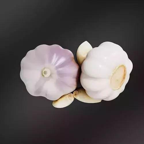 Garlic-01 3D print model 6