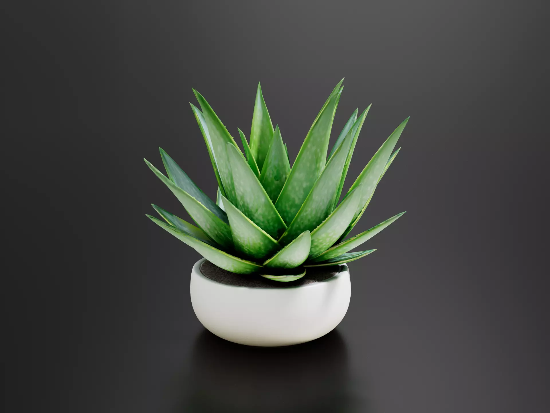 Aloe Vera-02 3D print model
