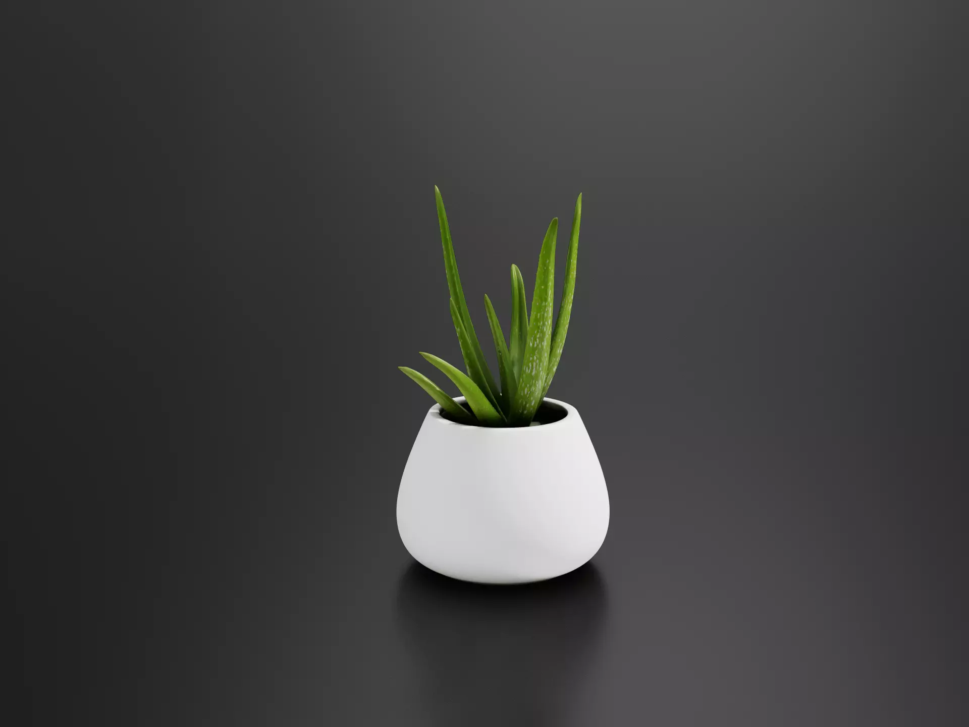 Aloe Vera-01 3D print model