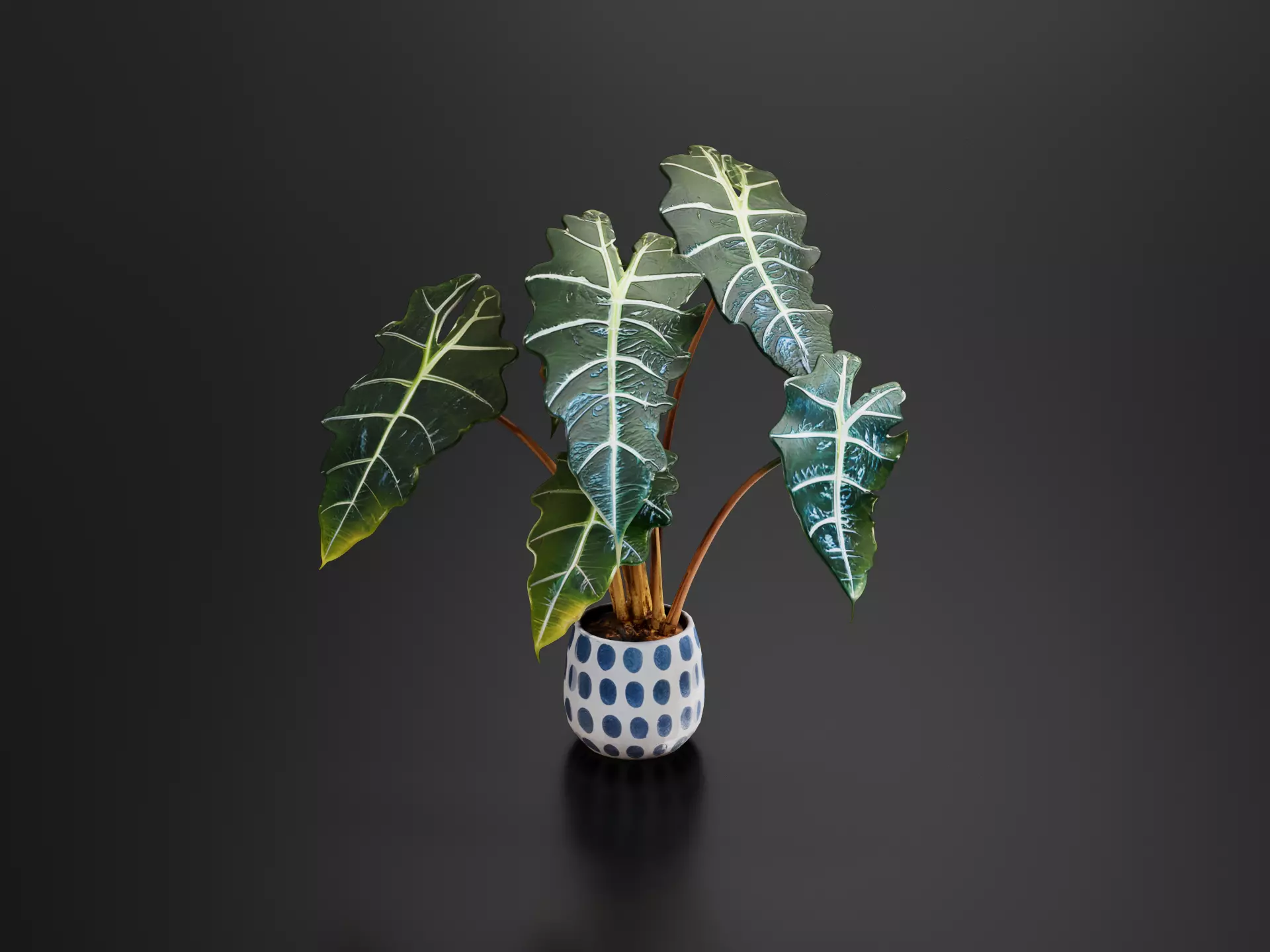 African Mask Plant 3D print model