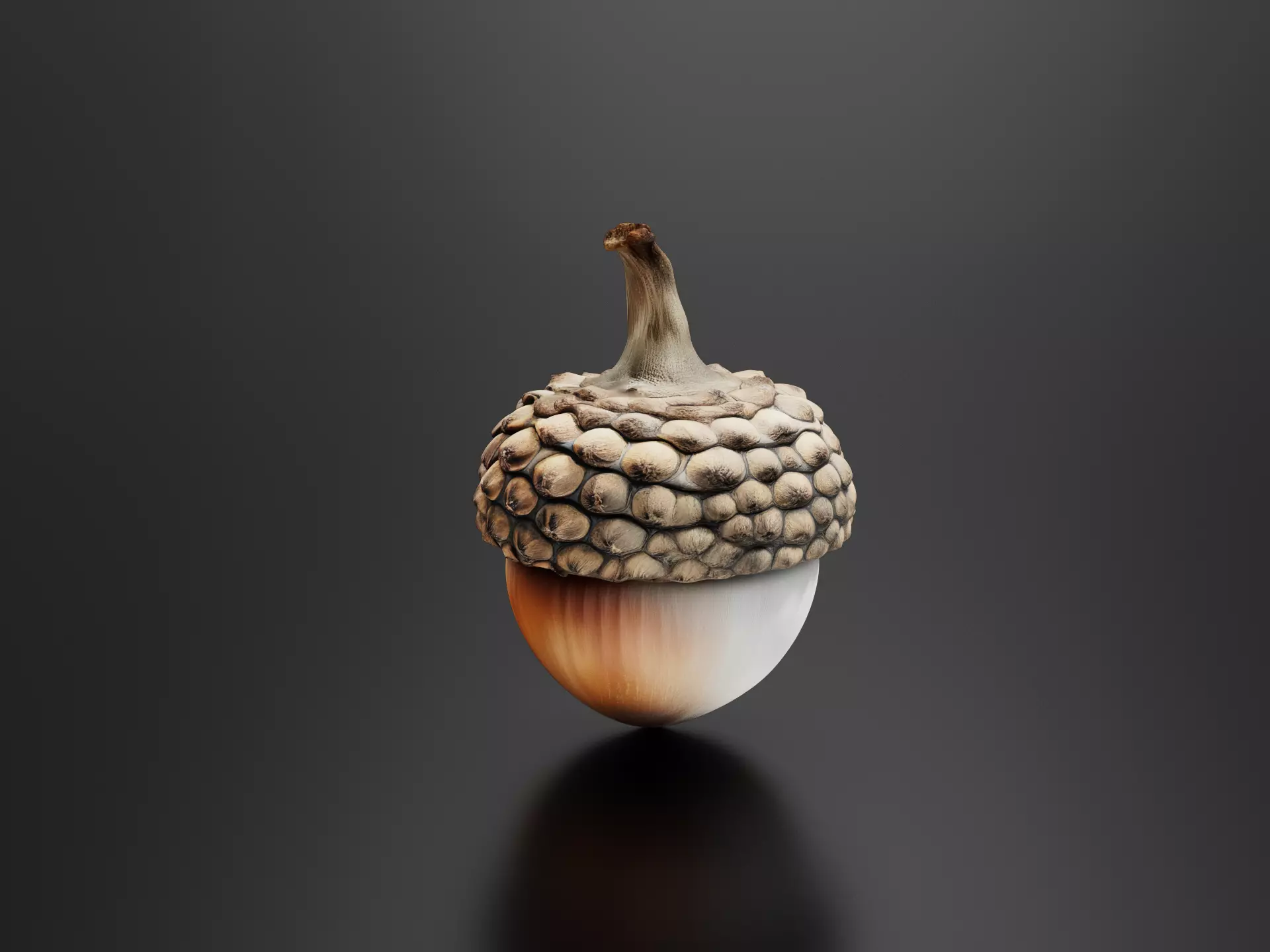 acorns-01 3D print model