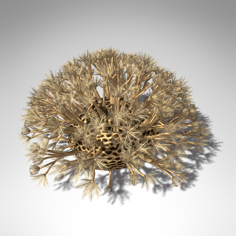 XfrogPlants Pulsing Xenia 3D model_1