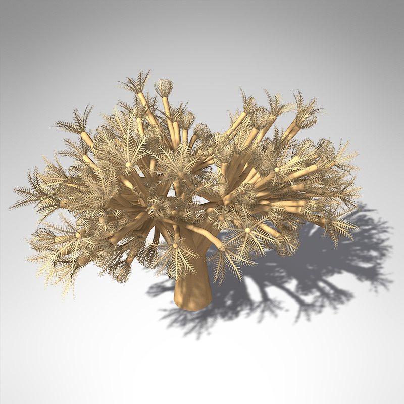 XfrogPlants Pulsing Xenia 3D model_2