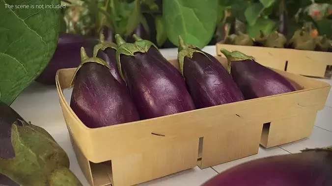 Whole Eggplants with Wooden Crate Purple 3D model