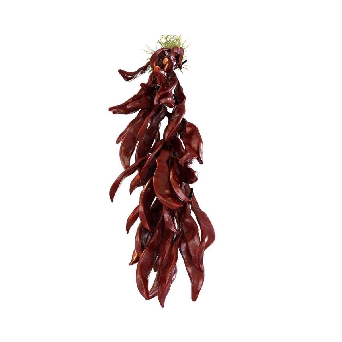 A bundle of red pepper 3D model_4