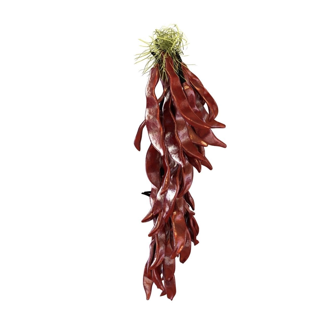 A bundle of red pepper 3D model_3