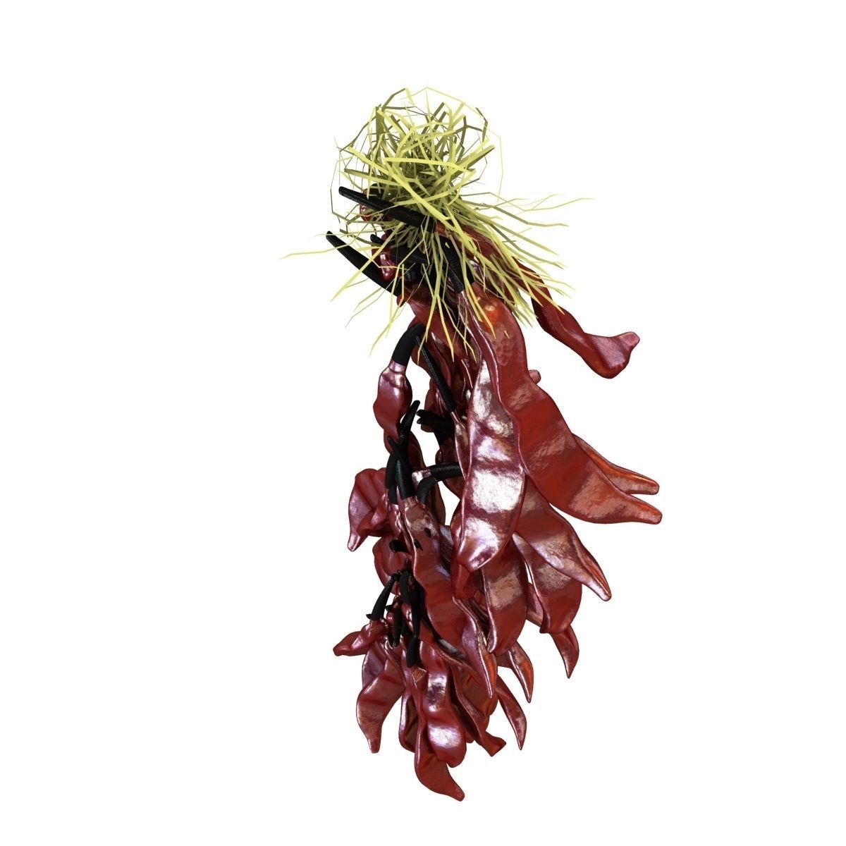 A bundle of red pepper 3D model_6