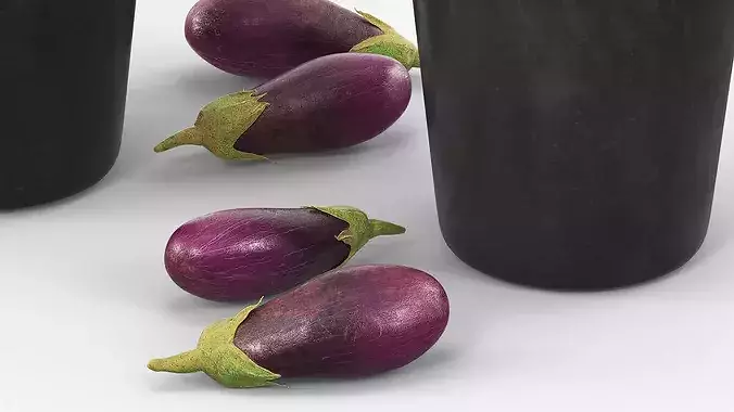 Eggplant Plant in Plastic Pot Green 3D model 4