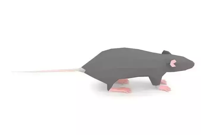 Mouse Cartoon Low Poly