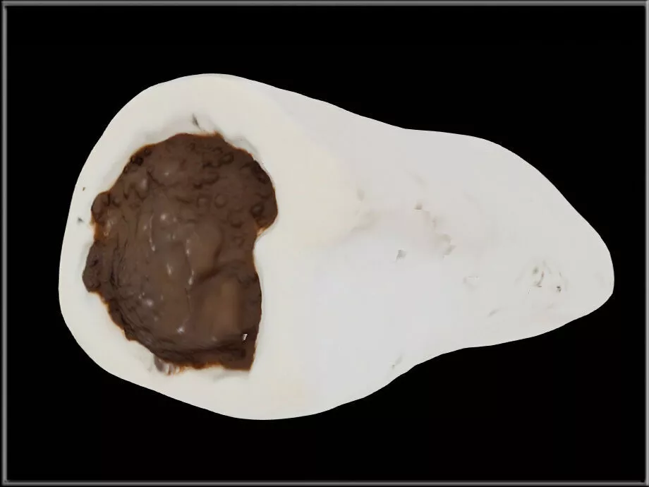 Beef Flavor Filled Beef Bone For Dogs Low-poly 3D model