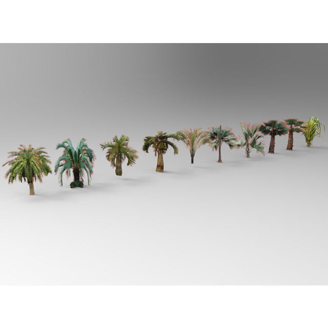 Collection of Plants and trees Low-poly 3D model_2