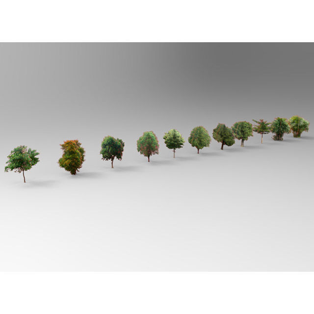 Collection of Plants and trees Low-poly 3D model_3