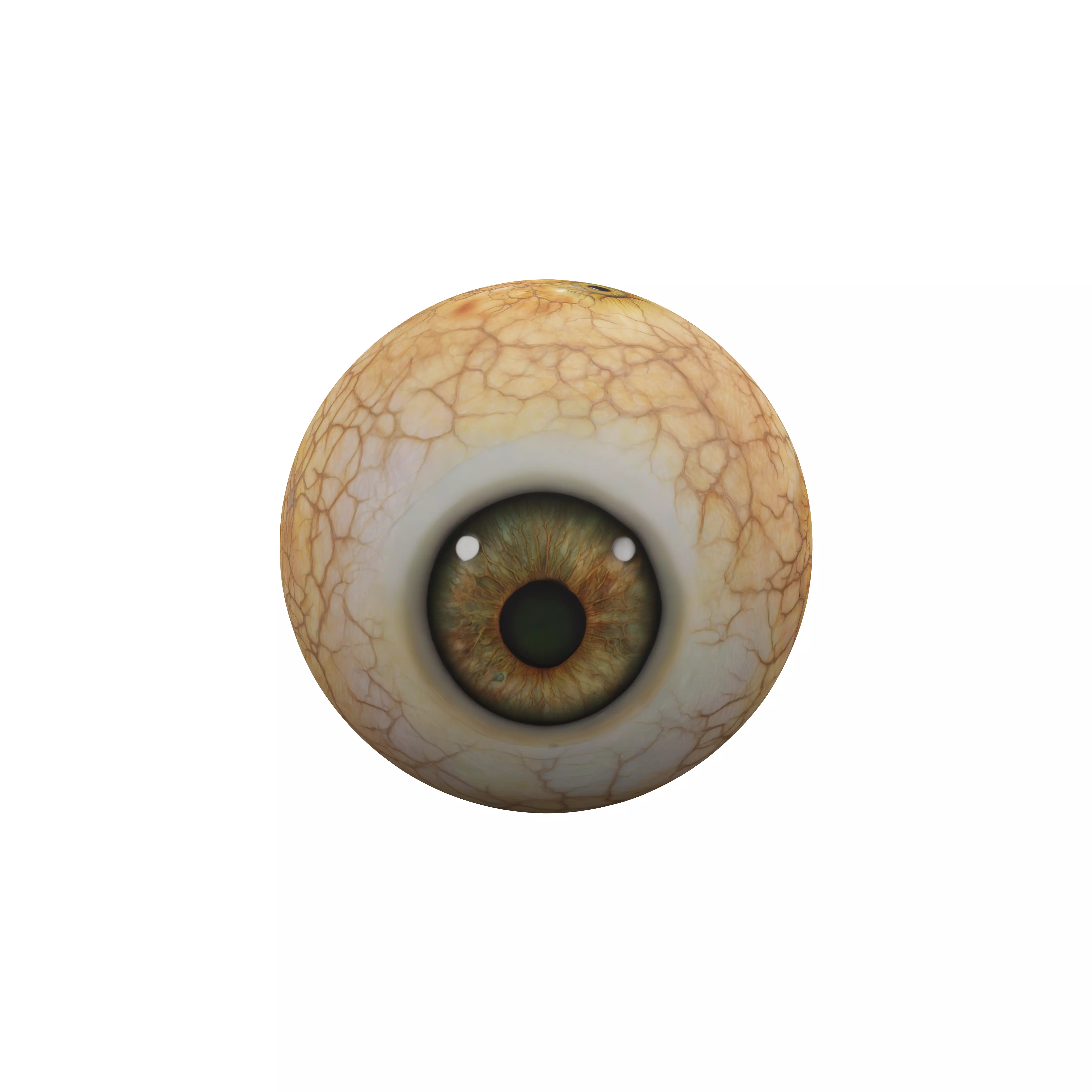 Vision Sphere 3D model