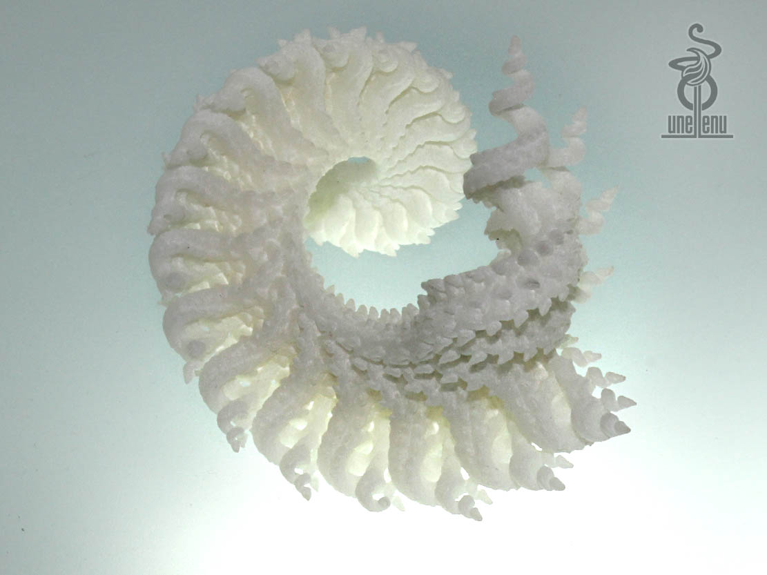 Spiralling spirals 3D printable fractal 3D print model_1