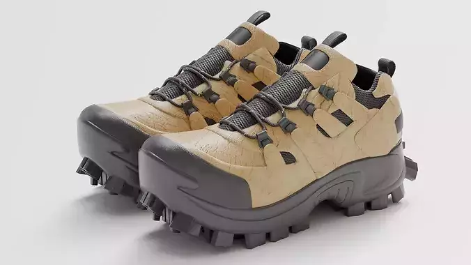Trekking shoe