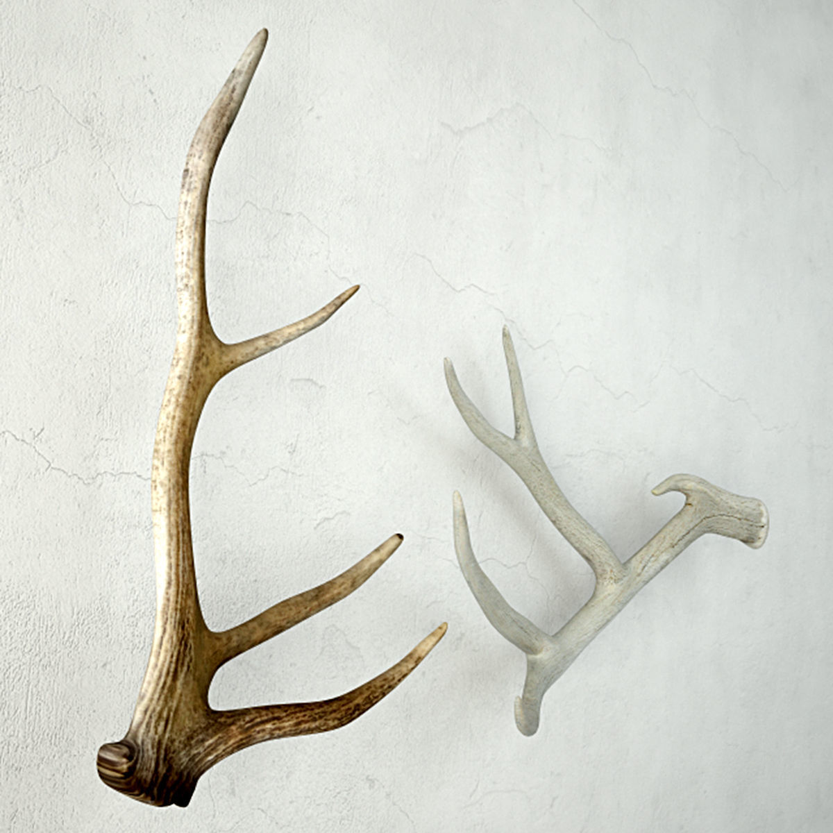 3d deer antlers cgtrader