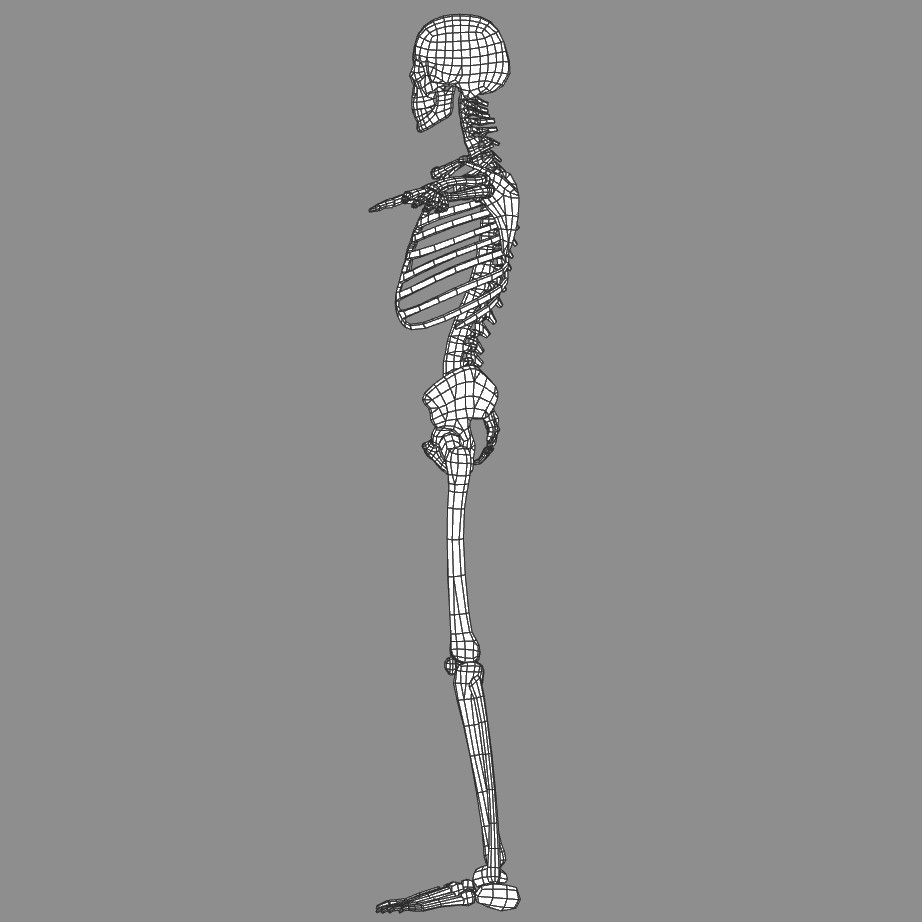 Skeleton Lowpoly Low-poly 3D model_9