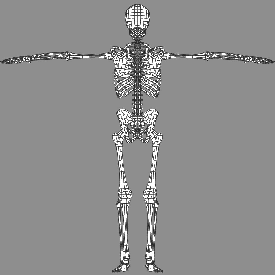 Skeleton Lowpoly Low-poly 3D model_10