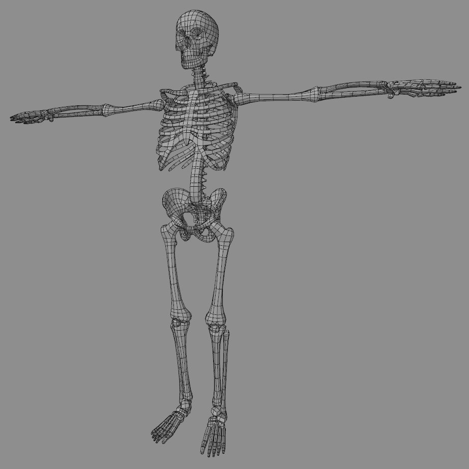 Skeleton Lowpoly Low-poly 3D model_11