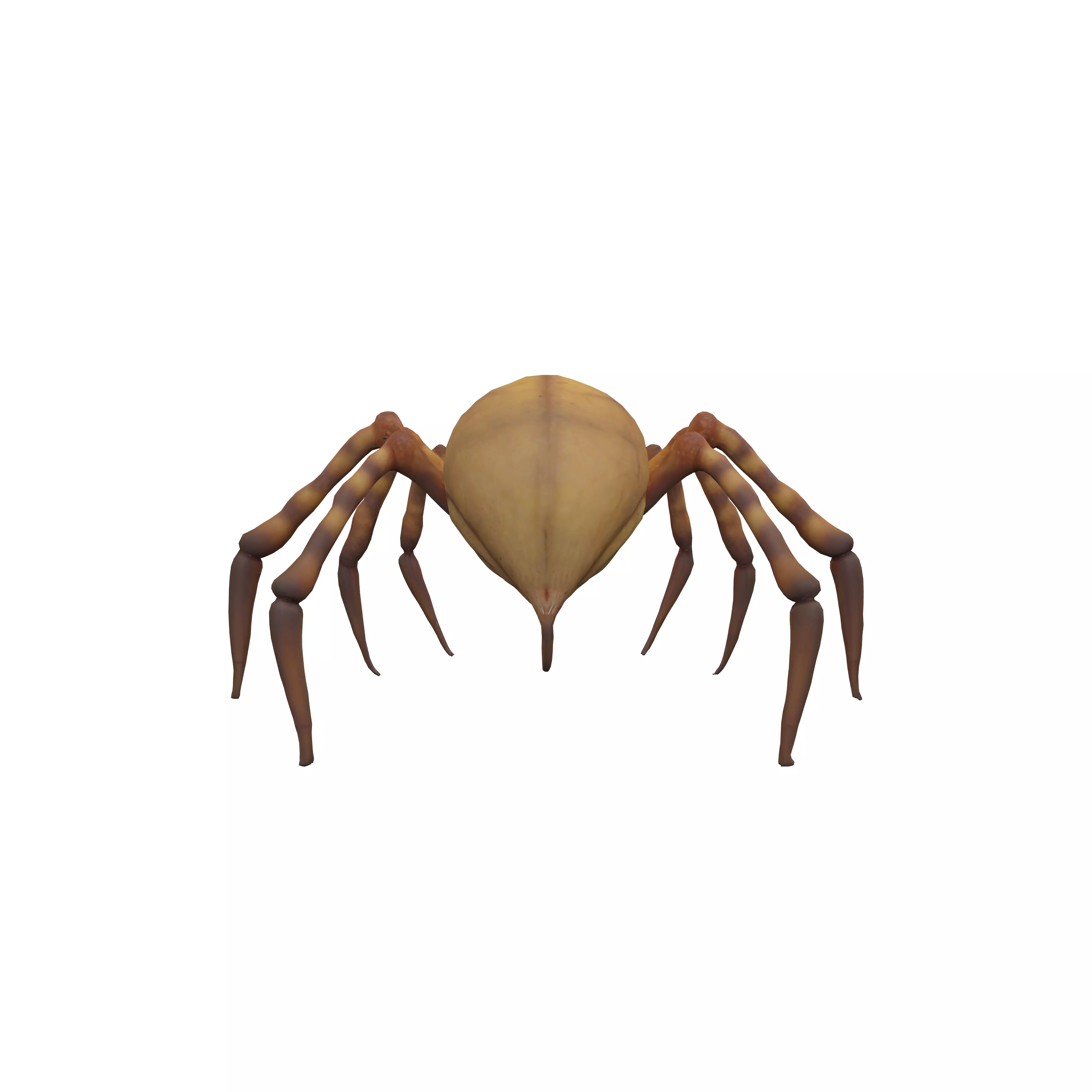 The spiderlike creature is large and intimidating with a grot... 3D model