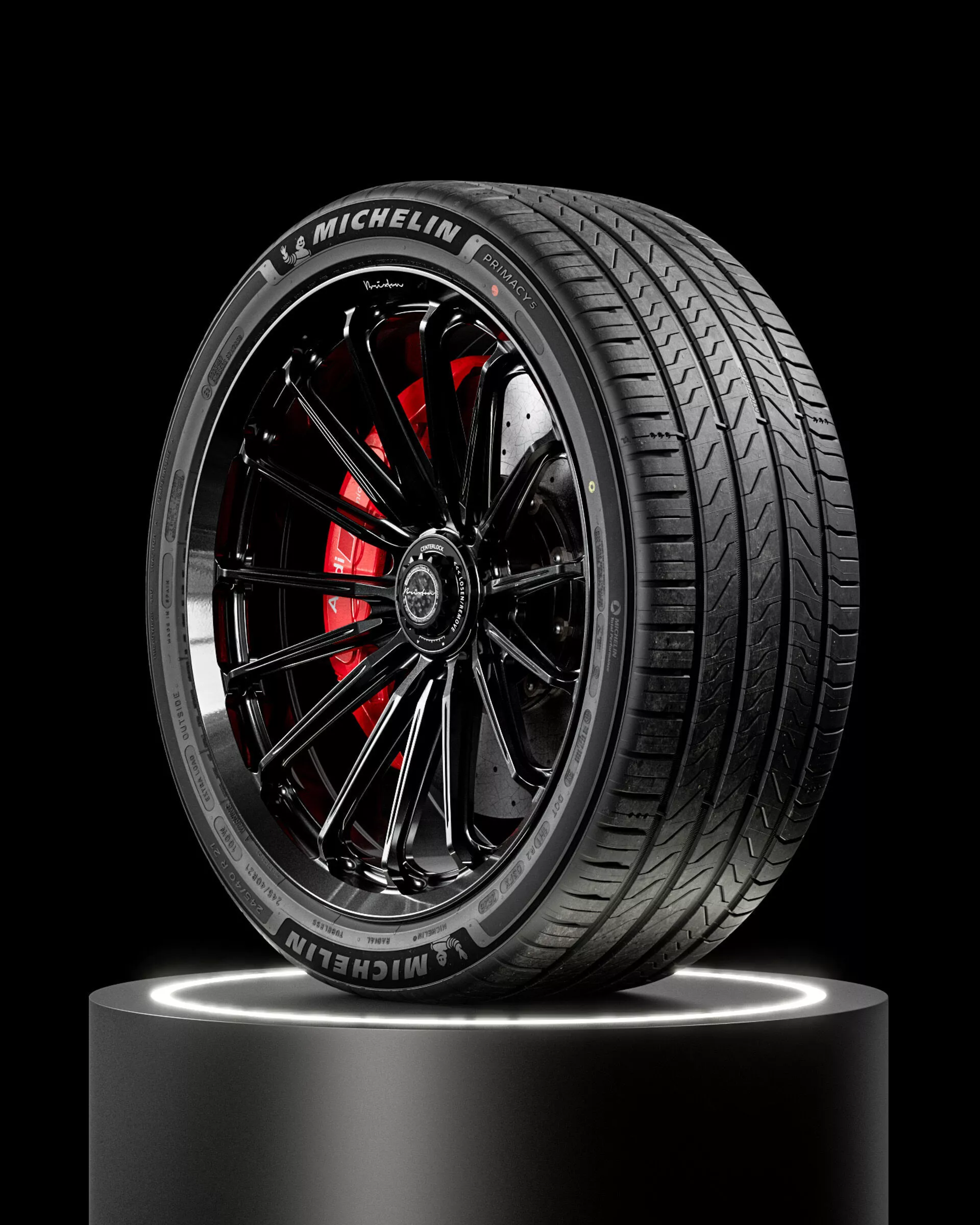 MICHELIN Primacy 5 245 40 R21 3D model
