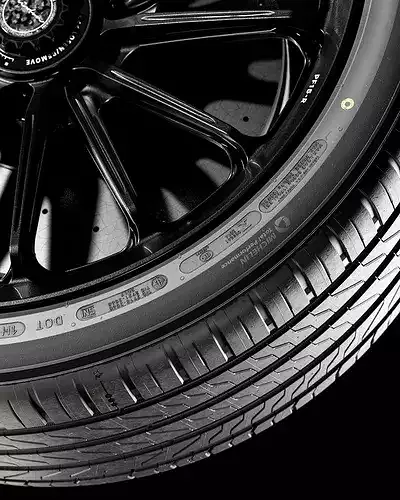 MICHELIN Primacy 5 245 40 R21 3D model 3
