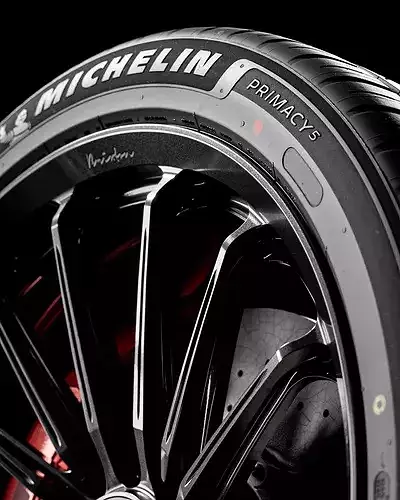 MICHELIN Primacy 5 245 40 R21 3D model 4