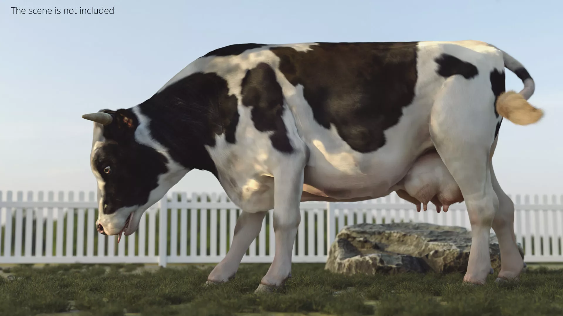 Domestic Cow Running Animated Rigged Fur For Blender 3D model