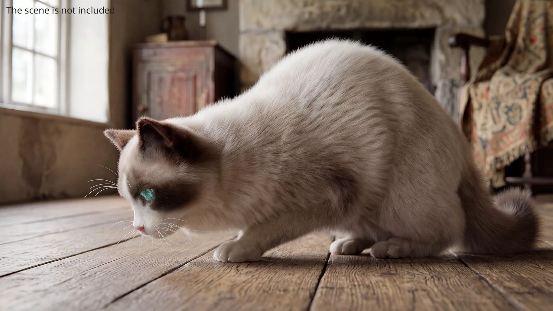 Domestic Cat Fast Walking Fur Animated Rigged For Maya 3D model