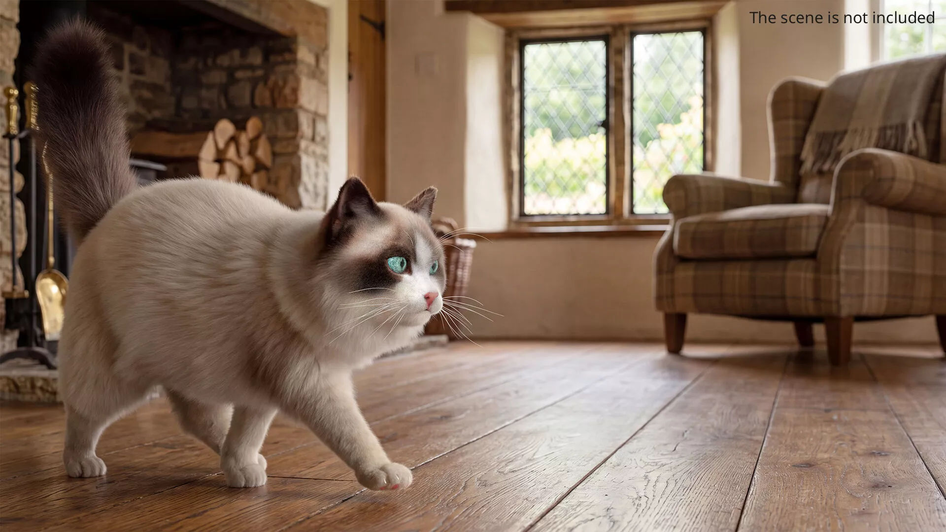 Domestic Cat Walking Fur Animated Rigged For Maya 3D model