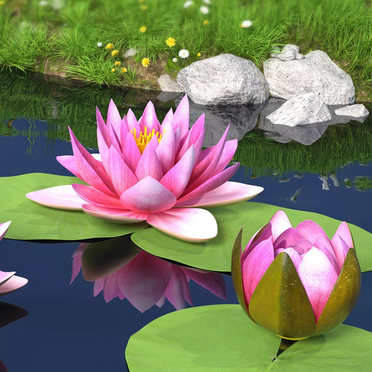 Nymphaea Siam Purple Leaf Set 3D model