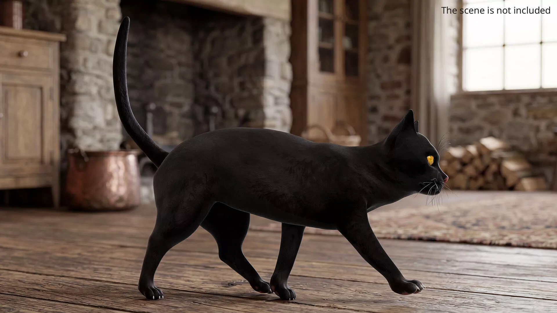 Black Domestic Cat Rigged for Maya 3D model