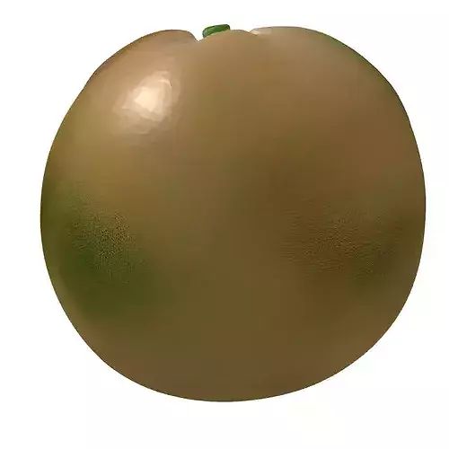 Cantaloupe Melon Half Realistic 3D Model 3D model 6