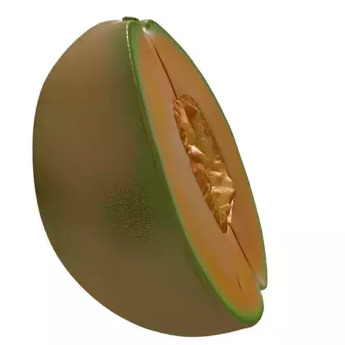 Cantaloupe Melon Half Realistic 3D Model 3D model 7
