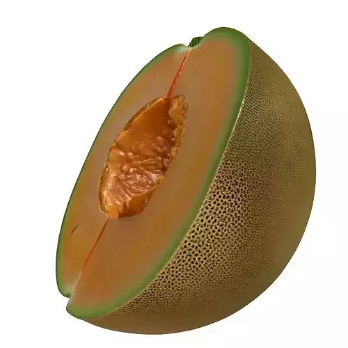 Cantaloupe Melon Half Realistic 3D Model 3D model 5