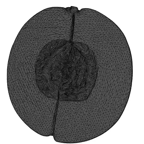 Cantaloupe Melon Half Realistic 3D Model 3D model 2