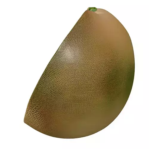 Cantaloupe Melon Half Realistic 3D Model 3D model 3