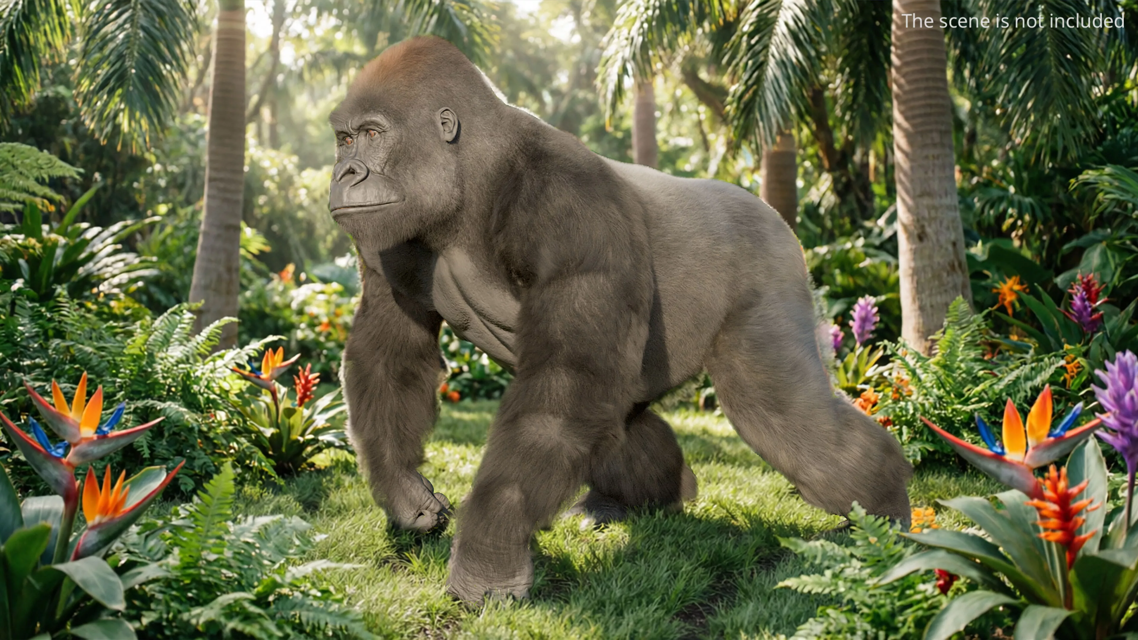 Wild Gorilla Primate Goes Fur Animated Rigged For Blender 3D model