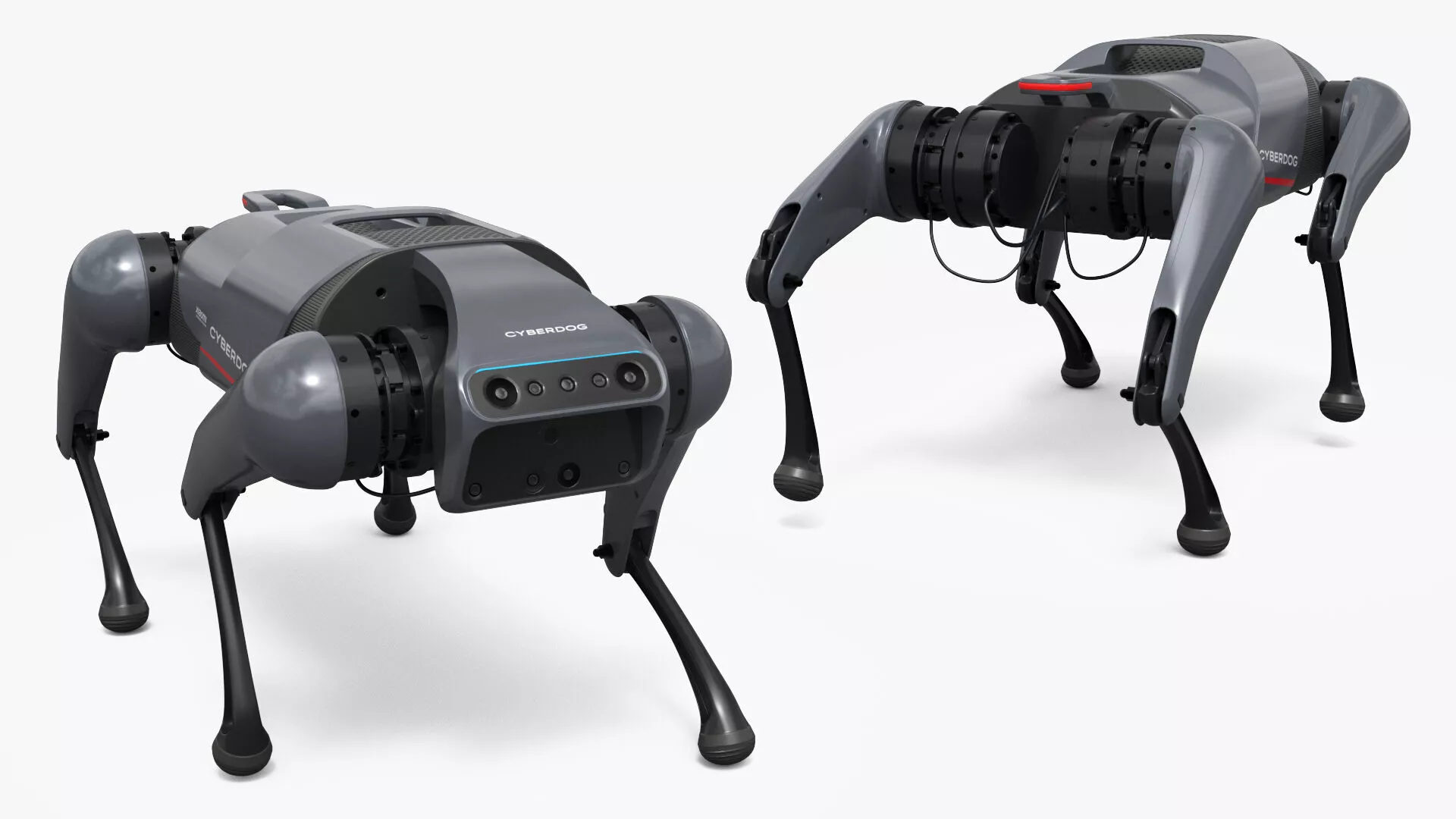 Xiaomi CyberDog Walk Animated Rigged For Maya 3D model