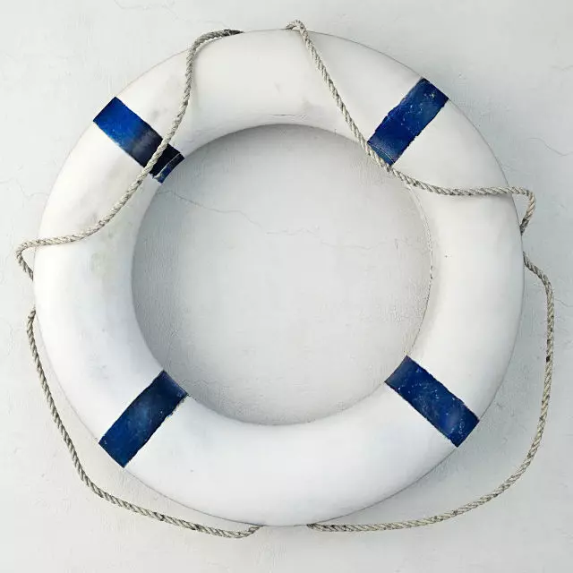 Blue and White Life Preserver 2 3D model_0