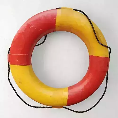 Life Preserver Ring 2