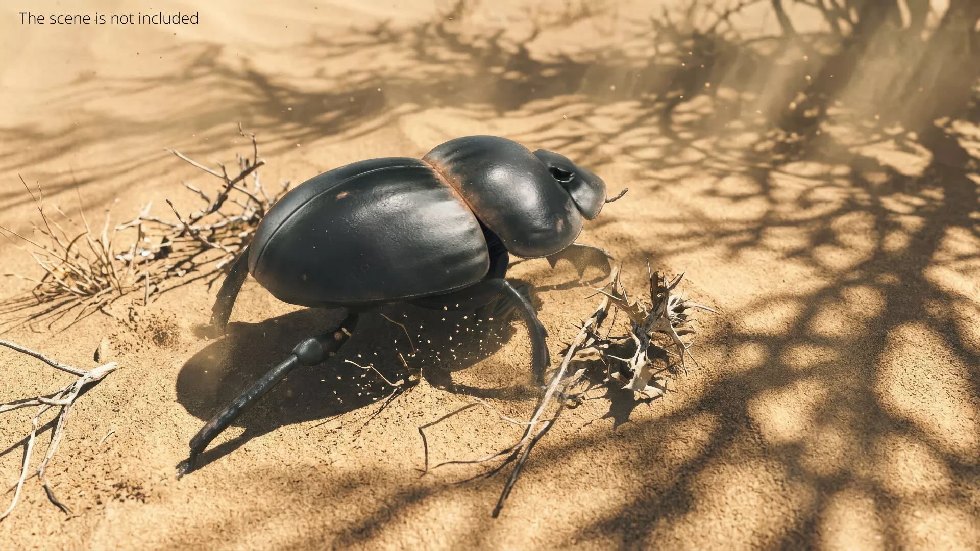 Roller Beetle Walking Fur Animated Rigged For Maya 3D model