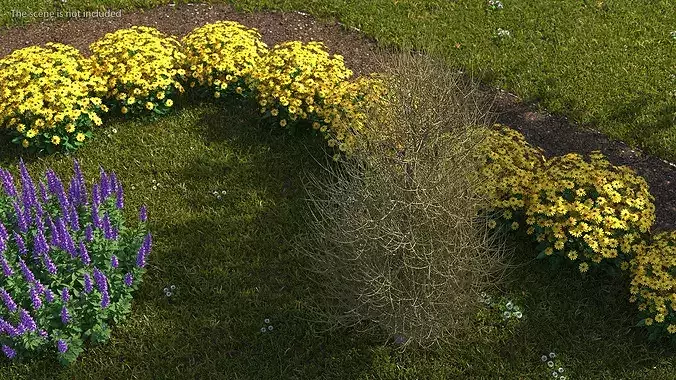 Laurel Barkwood Tree 3D model 3
