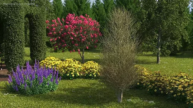 Laurel Barkwood Tree 3D model 2