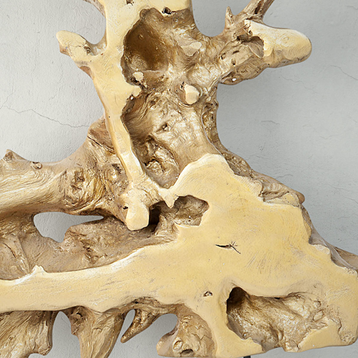 Root on Stand 2 3D model_4