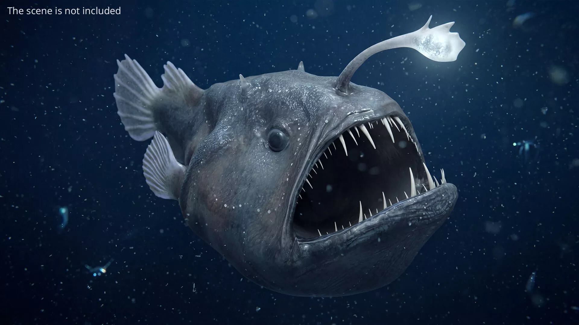 Abyssal Angler Fish Rigged For Maya 3D model