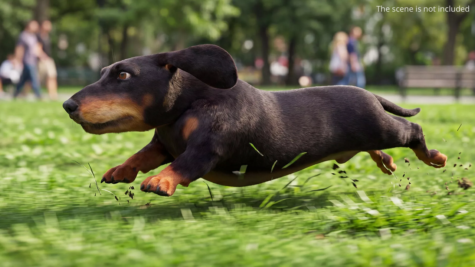 Black Dachshund Dog Fur Set Animation Rigged for Maya 3D model