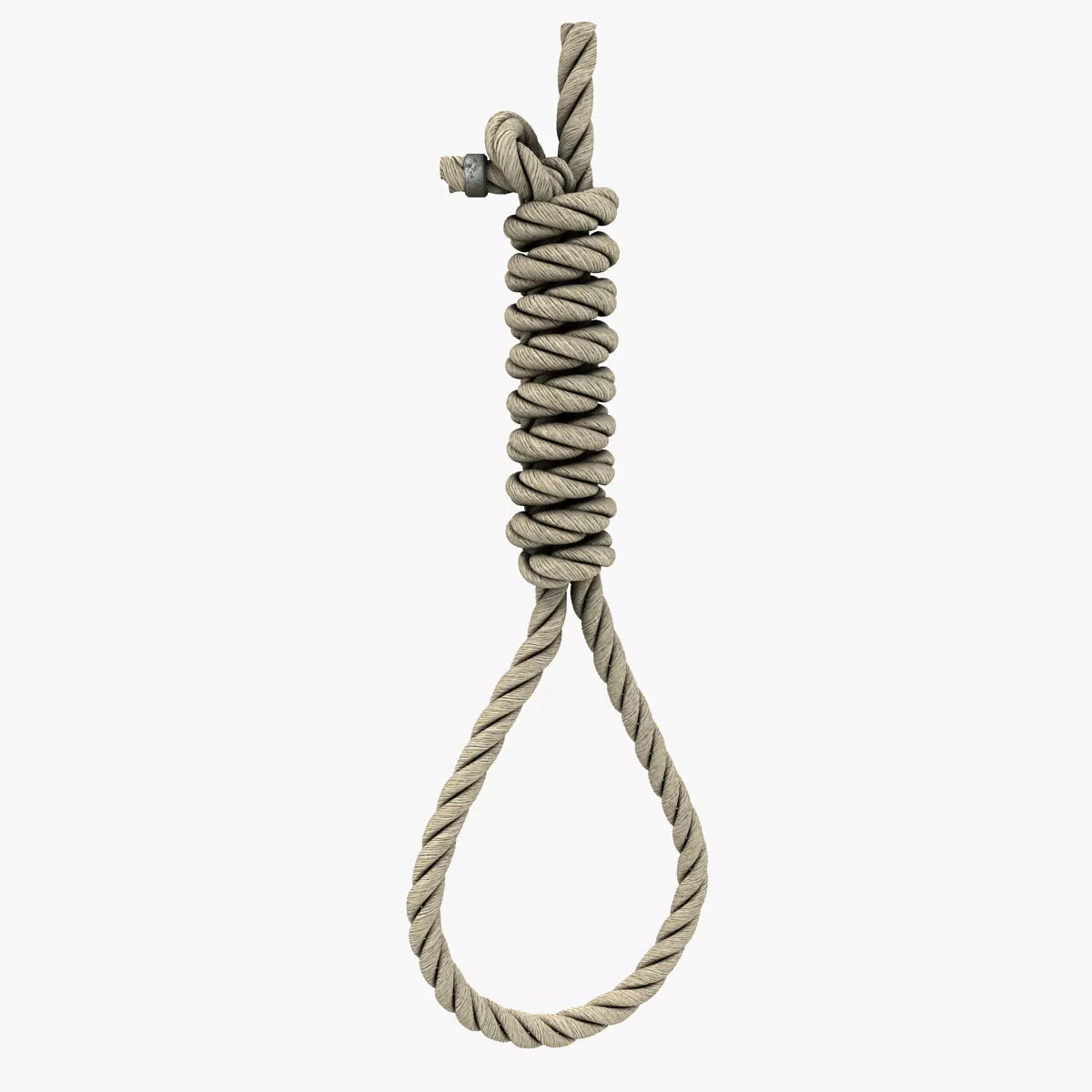Noose 3D model